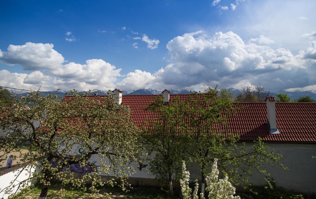 Casa Mosului - Transfagarasan Bed & Breakfast Cîrţişoara Exterior foto