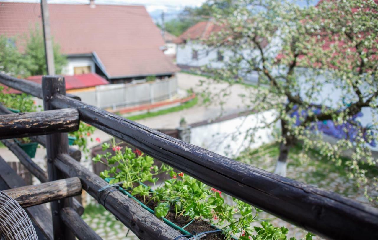 Casa Mosului - Transfagarasan Bed & Breakfast Cîrţişoara Exterior foto